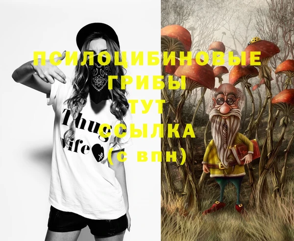 индика Беломорск