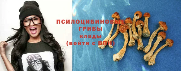 винт Баксан