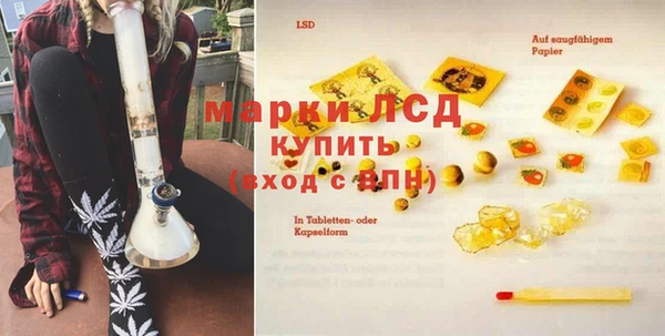 PSILOCYBIN Балахна