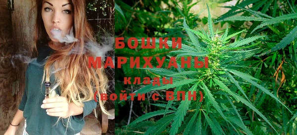 индика Беломорск